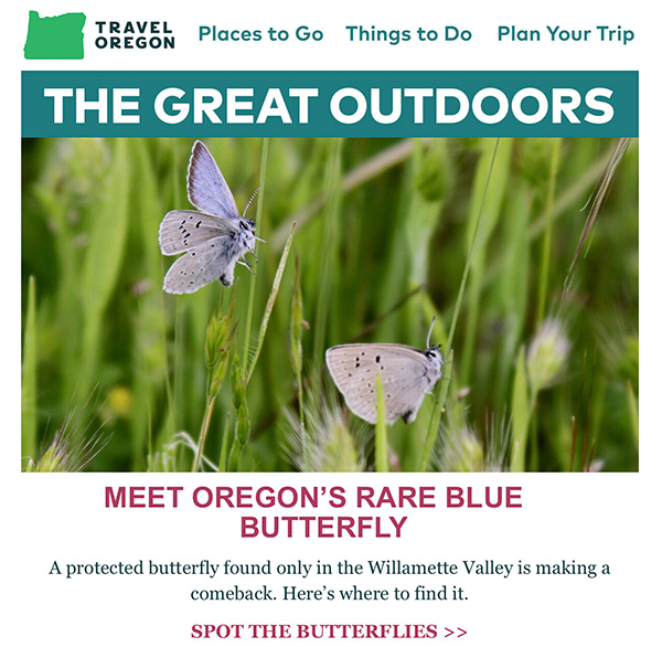 Outdoors newsletter